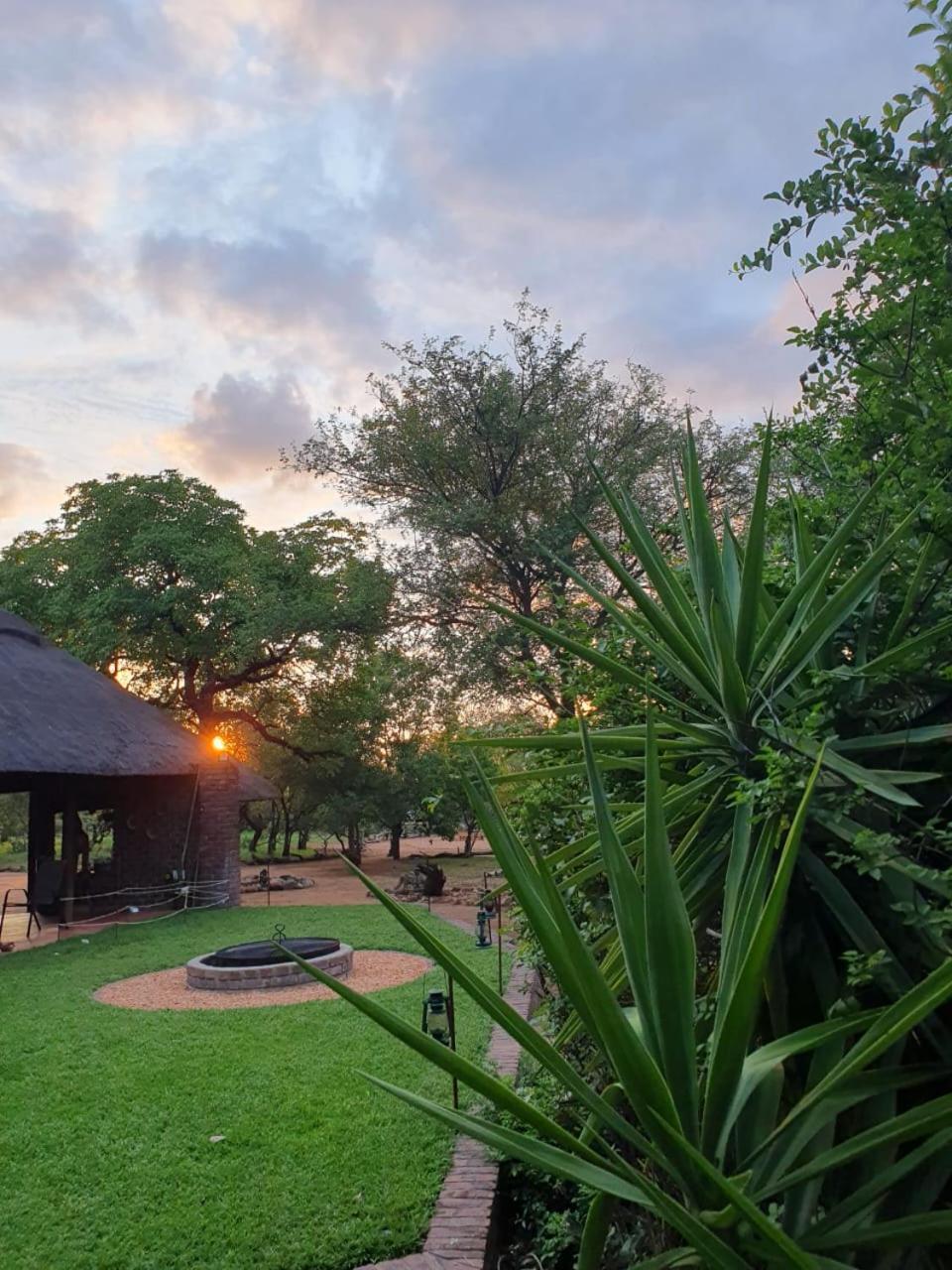 Masorini Bush Lodge & Safari Tents พาลาบอร์วา ภายนอก รูปภาพ