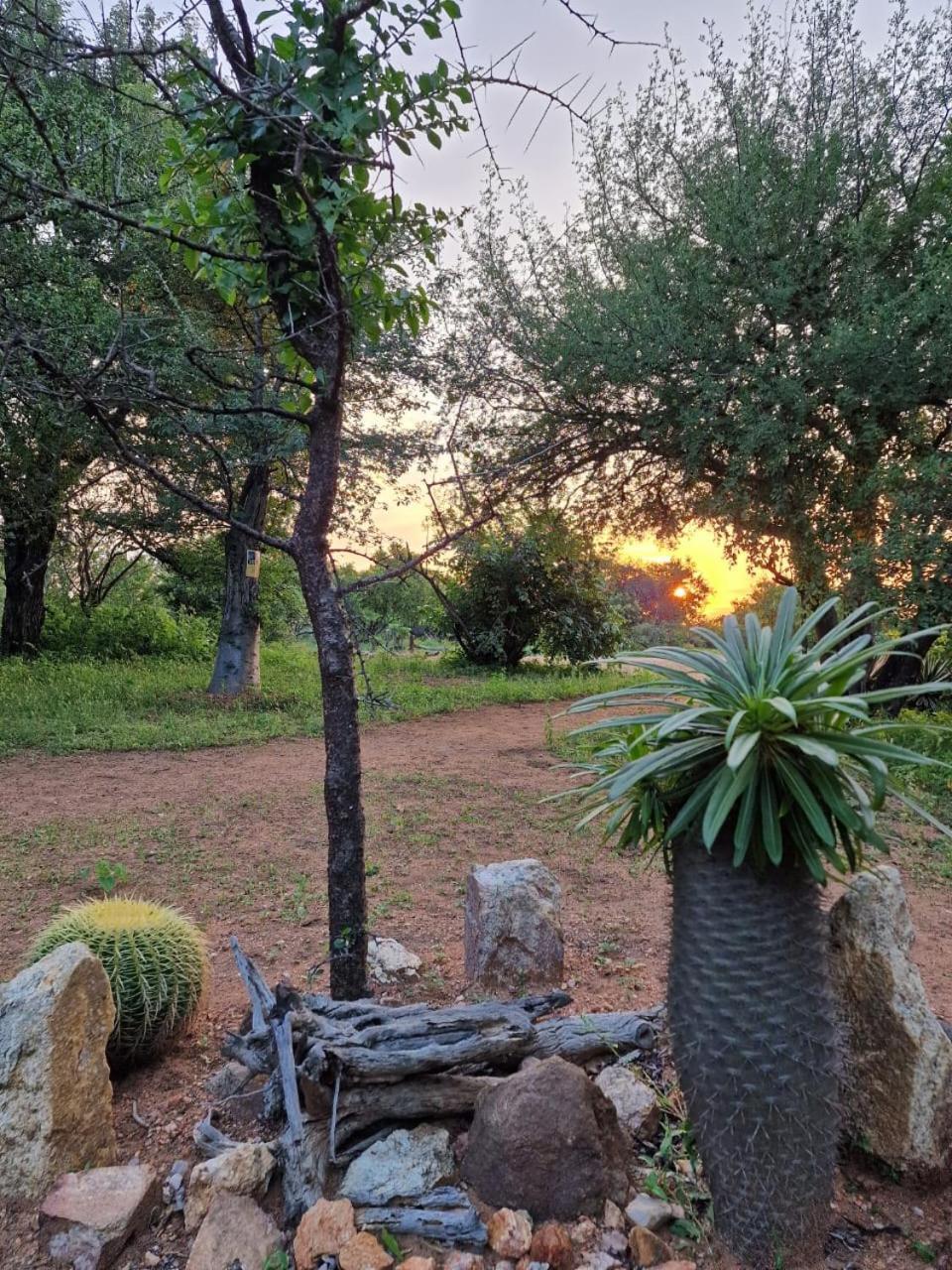 Masorini Bush Lodge & Safari Tents พาลาบอร์วา ภายนอก รูปภาพ