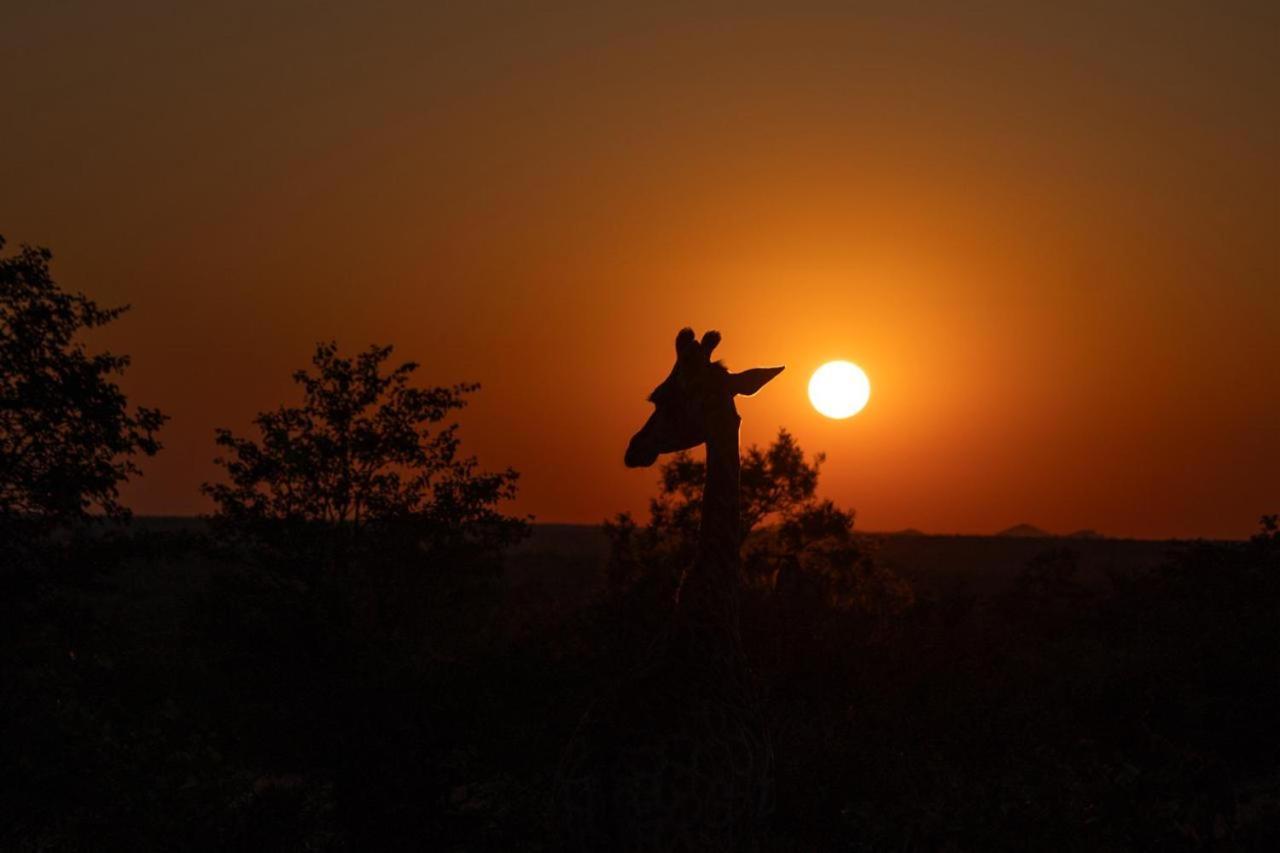 Masorini Bush Lodge & Safari Tents พาลาบอร์วา ภายนอก รูปภาพ
