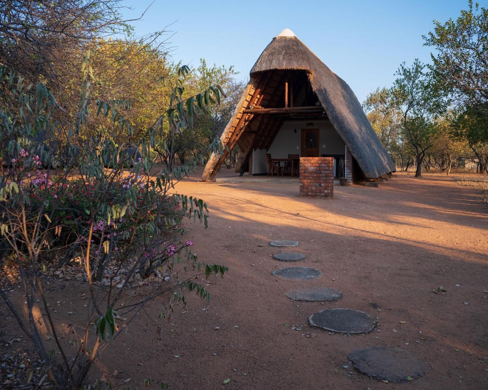 Masorini Bush Lodge & Safari Tents พาลาบอร์วา ภายนอก รูปภาพ